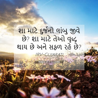 Picture 07 - અયૂબ 21:7 GUJIRV - શા માટે દુર્જનો - Bible Verse Picture