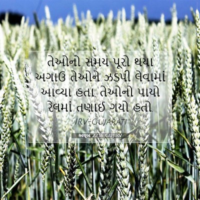 Picture 07 - અયૂબ 22:16 GUJIRV - તેઓનો સમય પૂરો થયા - Bible Verse Picture