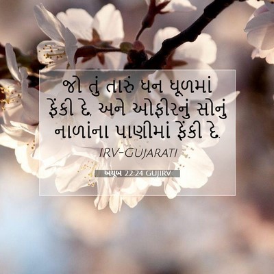 Picture 07 - અયૂબ 22:24 GUJIRV - જો તું તારું ધન - Bible Verse Picture
