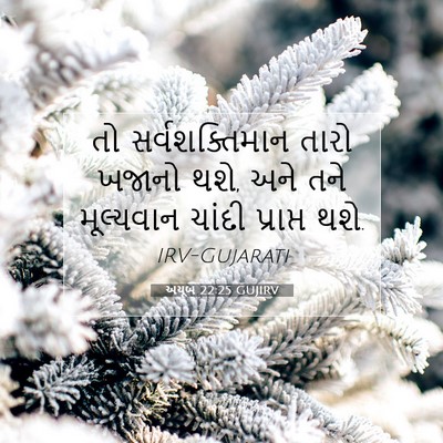 Picture 07 - અયૂબ 22:25 GUJIRV - તો સર્વશક્તિમાન - Bible Verse Picture