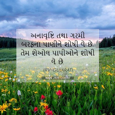 Picture 07 - અયૂબ 24:19 GUJIRV - અનાવૃષ્ટિ તથા - Bible Verse Picture