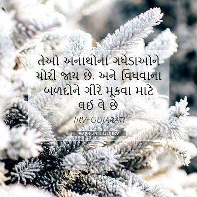 Picture 07 - અયૂબ 24:3 GUJIRV - તેઓ અનાથોના - Bible Verse Picture