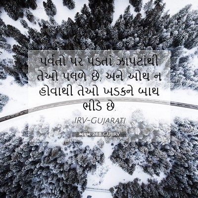 Picture 07 - અયૂબ 24:8 GUJIRV - પર્વતો પર પડતાં - Bible Verse Picture