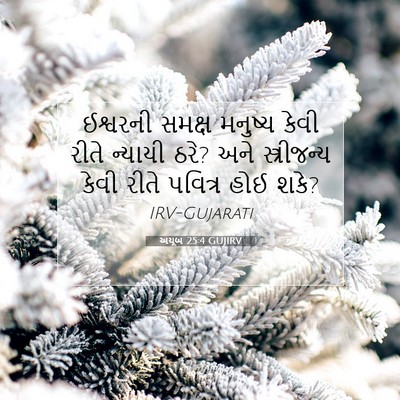 Picture 07 - અયૂબ 25:4 GUJIRV - ઈશ્વરની સમક્ષ - Bible Verse Picture
