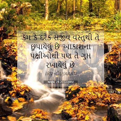 Picture 07 - અયૂબ 28:21 GUJIRV - કેમ કે દરેક સજીવ - Bible Verse Picture