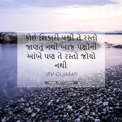Picture 07 - અયૂબ 28:7 GUJIRV - કોઈ શિકારી પક્ષી - Bible Verse Picture