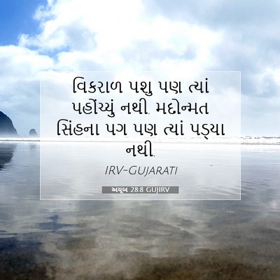 Picture 07 - અયૂબ 28:8 GUJIRV - વિકરાળ પશુ પણ - Bible Verse Picture