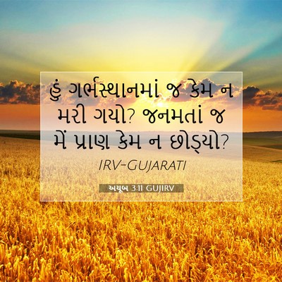 Picture 07 - અયૂબ 3:11 GUJIRV - હું ગર્ભસ્થાનમાં - Bible Verse Picture
