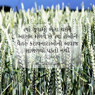 Picture 07 - અયૂબ 3:18 GUJIRV - ત્યાં ગુલામો ભેગા - Bible Verse Picture