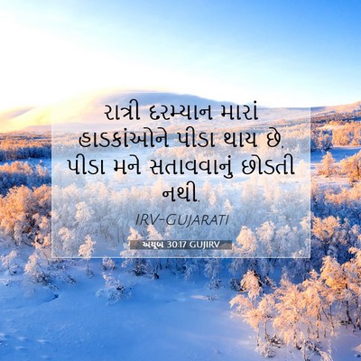 Picture 07 - અયૂબ 30:17 GUJIRV - રાત્રી દરમ્યાન - Bible Verse Picture