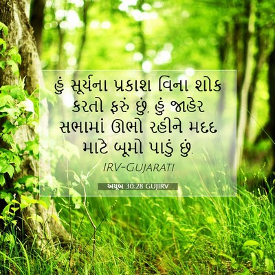 Picture 07 - અયૂબ 30:28 GUJIRV - હું સૂર્યના - Bible Verse Picture