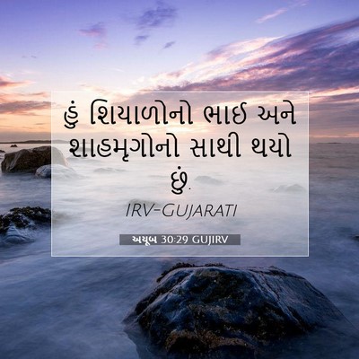 Picture 07 - અયૂબ 30:29 GUJIRV - હું શિયાળોનો ભાઈ - Bible Verse Picture