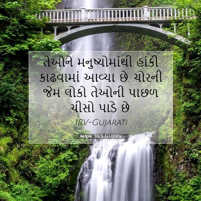 Picture 07 - અયૂબ 30:5 GUJIRV - તેઓને - Bible Verse Picture