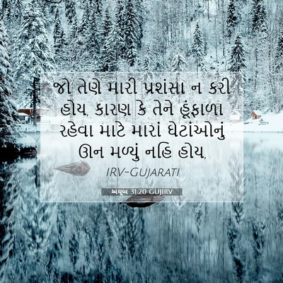 Picture 07 - અયૂબ 31:20 GUJIRV - જો તેણે મારી - Bible Verse Picture