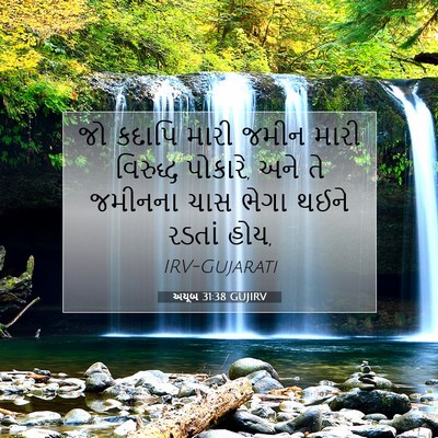 Picture 07 - અયૂબ 31:38 GUJIRV - જો કદાપિ મારી જમીન - Bible Verse Picture