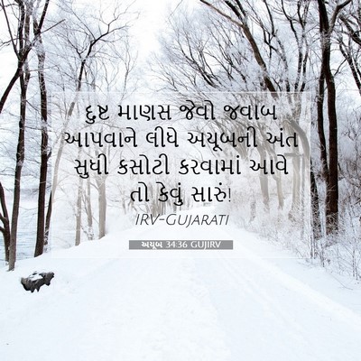 Picture 07 - અયૂબ 34:36 GUJIRV - દુષ્ટ માણસ જેવો - Bible Verse Picture