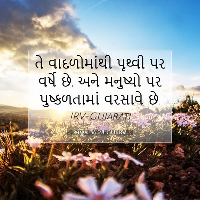 Picture 07 - અયૂબ 36:28 GUJIRV - તે વાદળોમાંથી - Bible Verse Picture