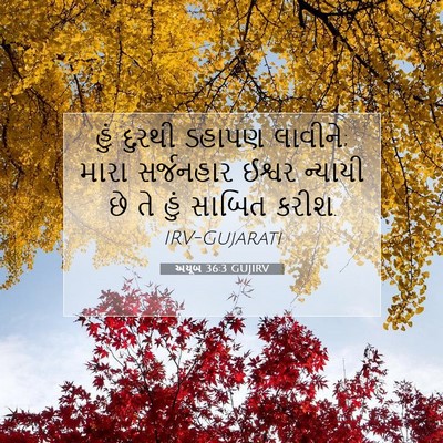 Picture 07 - અયૂબ 36:3 GUJIRV - હું દુરથી ડહાપણ - Bible Verse Picture