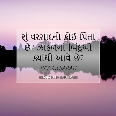 Picture 07 - અયૂબ 38:28 GUJIRV - શું વરસાદનો કોઈ - Bible Verse Picture