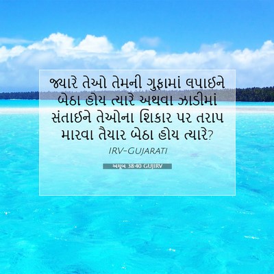 Picture 07 - અયૂબ 38:40 GUJIRV - જ્યારે તેઓ તેમની - Bible Verse Picture