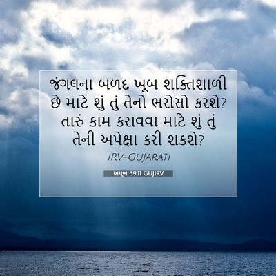 Picture 07 - અયૂબ 39:11 GUJIRV - જંગલના બળદ ખૂબ - Bible Verse Picture