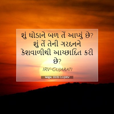 Picture 07 - અયૂબ 39:19 GUJIRV - શું ઘોડાને બળ તેં - Bible Verse Picture