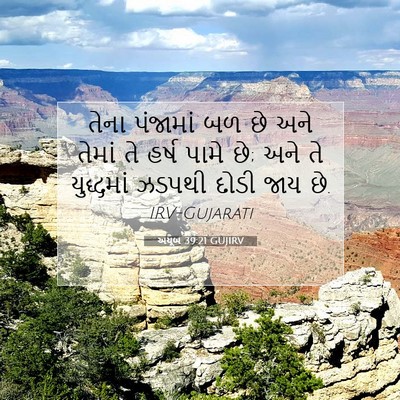 Picture 07 - અયૂબ 39:21 GUJIRV - તેના પંજામાં બળ છે - Bible Verse Picture
