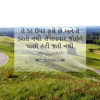 Picture 07 - અયૂબ 39:22 GUJIRV - તે ડર ઉપર હસે છે - Bible Verse Picture
