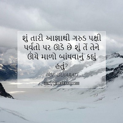 Picture 07 - અયૂબ 39:27 GUJIRV - શું તારી આજ્ઞાથી - Bible Verse Picture