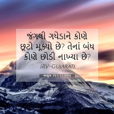 Picture 07 - અયૂબ 39:5 GUJIRV - જંગલી ગધેડાને - Bible Verse Picture