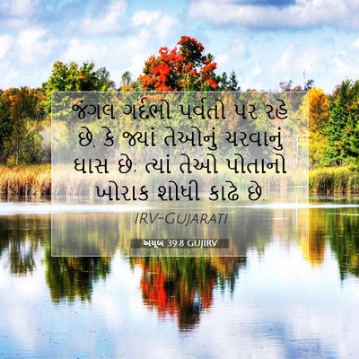 Picture 07 - અયૂબ 39:8 GUJIRV - જંગલ ગર્દભો - Bible Verse Picture