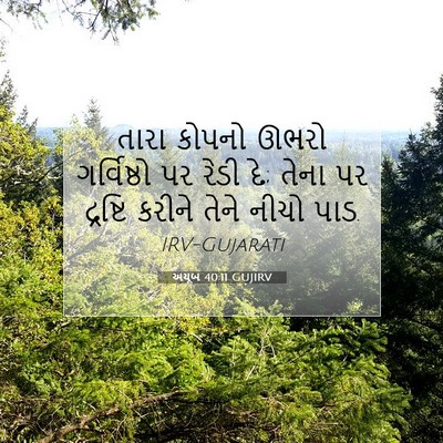 Picture 07 - અયૂબ 40:11 GUJIRV - તારા કોપનો ઊભરો - Bible Verse Picture