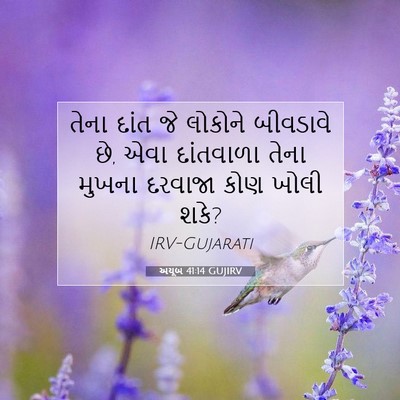 Picture 07 - અયૂબ 41:14 GUJIRV - તેના દાંત જે - Bible Verse Picture