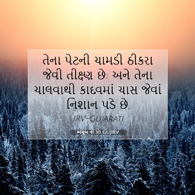 Picture 07 - અયૂબ 41:30 GUJIRV - તેના પેટની ચામડી - Bible Verse Picture