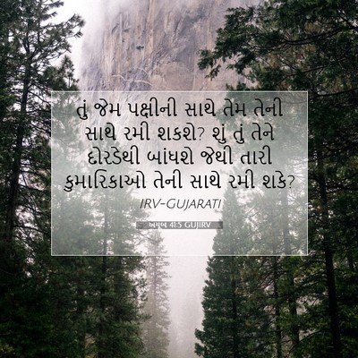 Picture 07 - અયૂબ 41:5 GUJIRV - તું જેમ પક્ષીની - Bible Verse Picture