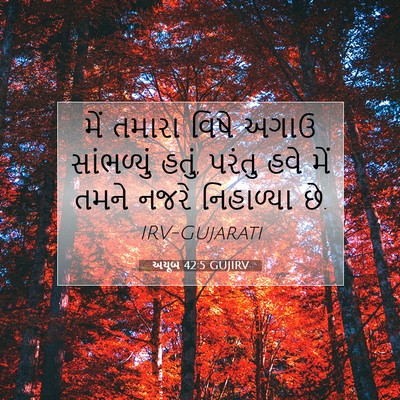 Picture 07 - અયૂબ 42:5 GUJIRV - મેં તમારા વિષે - Bible Verse Picture