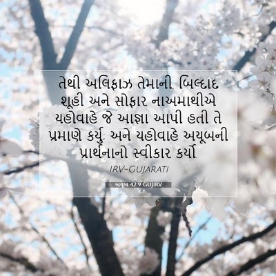 Picture 07 - અયૂબ 42:9 GUJIRV - તેથી અલિફાઝ - Bible Verse Picture