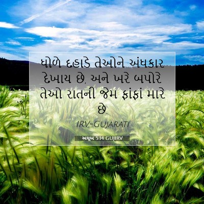 Picture 07 - અયૂબ 5:14 GUJIRV - ધોળે દહાડે તેઓને - Bible Verse Picture