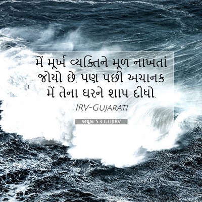 Picture 07 - અયૂબ 5:3 GUJIRV - મેં મૂર્ખ - Bible Verse Picture