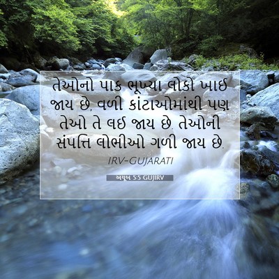 Picture 07 - અયૂબ 5:5 GUJIRV - તેઓનો પાક ભૂખ્યા - Bible Verse Picture