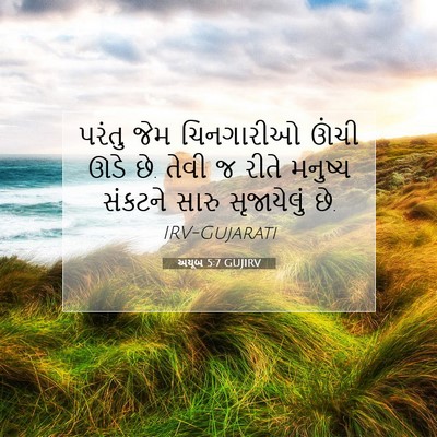 Picture 07 - અયૂબ 5:7 GUJIRV - પરંતુ જેમ - Bible Verse Picture