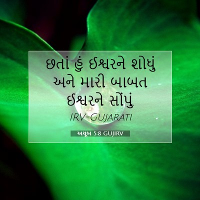 Picture 07 - અયૂબ 5:8 GUJIRV - છતાં હું ઈશ્વરને - Bible Verse Picture