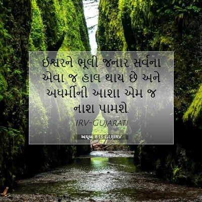 Picture 07 - અયૂબ 8:13 GUJIRV - ઈશ્વરને ભૂલી જનાર - Bible Verse Picture