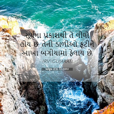 Picture 07 - અયૂબ 8:16 GUJIRV - સૂર્યના પ્રકાશથી - Bible Verse Picture