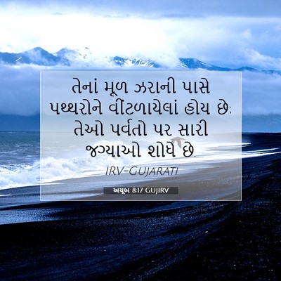 Picture 07 - અયૂબ 8:17 GUJIRV - તેનાં મૂળ ઝરાની - Bible Verse Picture