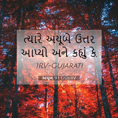 Picture 07 - અયૂબ 9:1 GUJIRV - ત્યારે અયૂબે - Bible Verse Picture