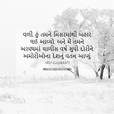 Picture 07 - આમોસ 2:10 GUJIRV - વળી, હું તમને - Bible Verse Picture