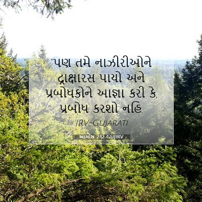 Picture 07 - આમોસ 2:12 GUJIRV - “પણ તમે નાઝીરીઓને - Bible Verse Picture