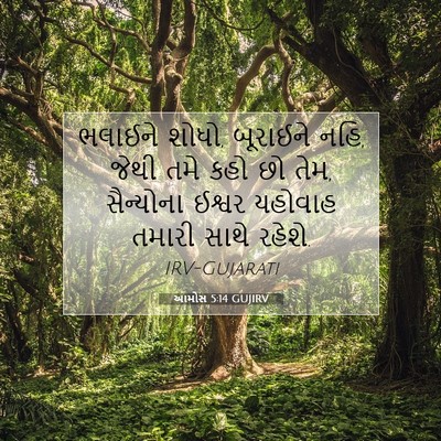 Picture 07 - આમોસ 5:14 GUJIRV - ભલાઈને શોધો, - Bible Verse Picture