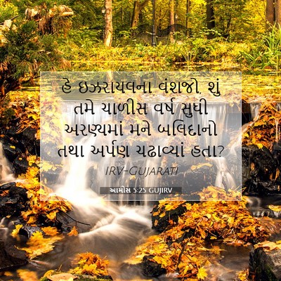 Picture 07 - આમોસ 5:25 GUJIRV - હે ઇઝરાયલના વંશજો, - Bible Verse Picture